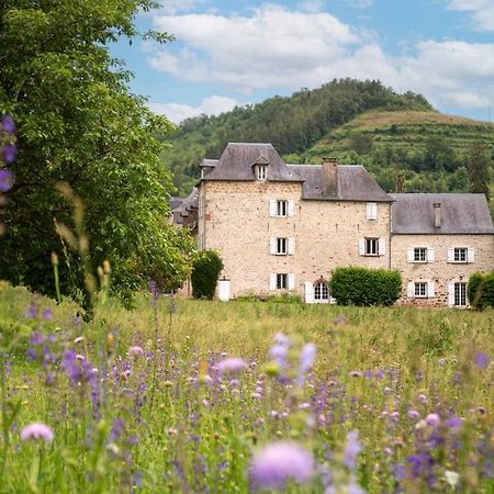 Marcillac-Vallon La Demeure Du Comte B&B 외부 사진