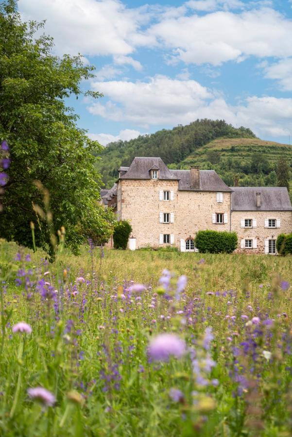 Marcillac-Vallon La Demeure Du Comte B&B 외부 사진